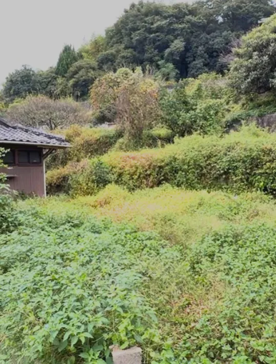 施工前: 山すその土地