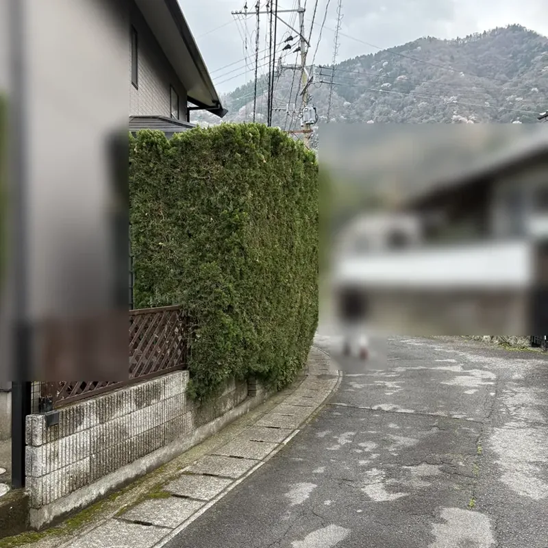 施工前: 道路沿いの住宅