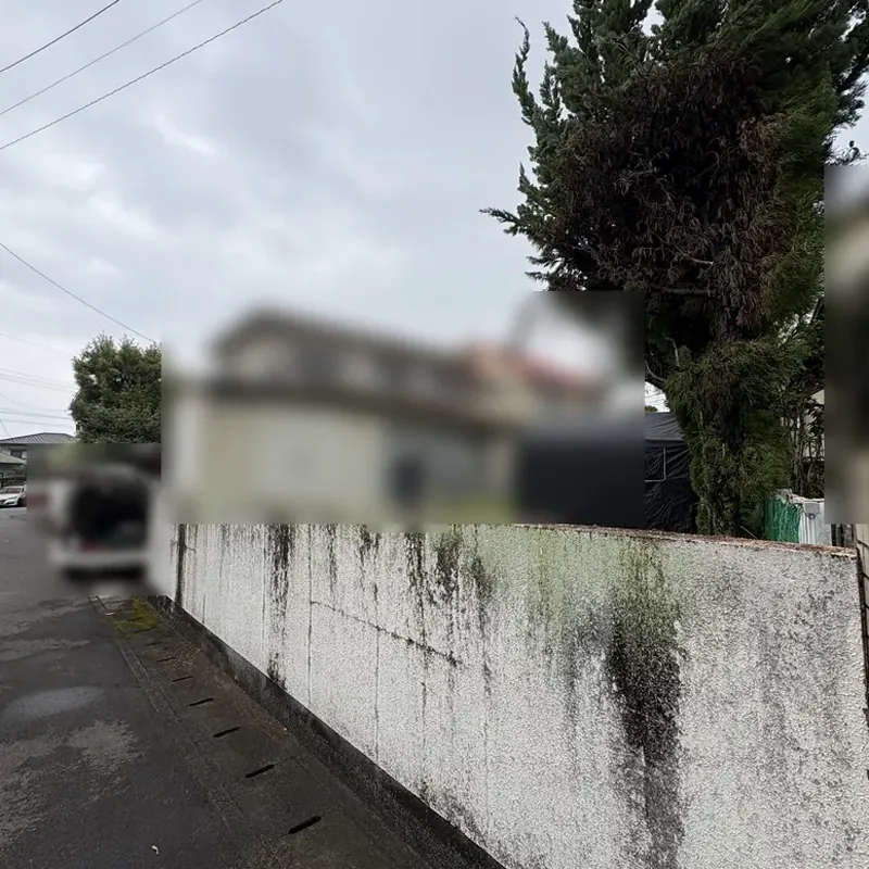 施工後: 塀の内側の庭木