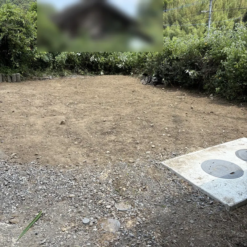 施工後: 雑草が茂った土地