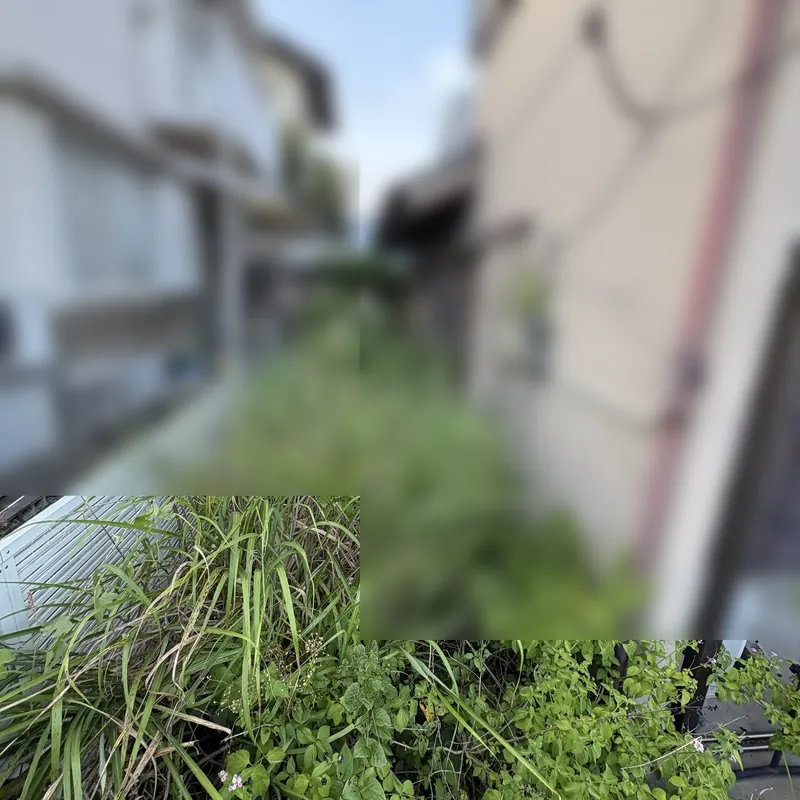 施工前: 住宅横の通路